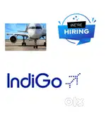 Huge vacancy open in indigo Airlines urgent hiring