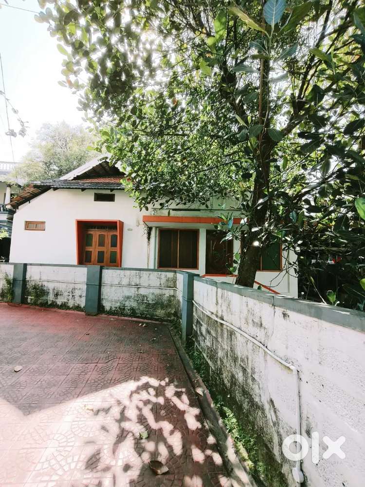 Ladies only 2 bhk Indipentent home for rent tripunithura