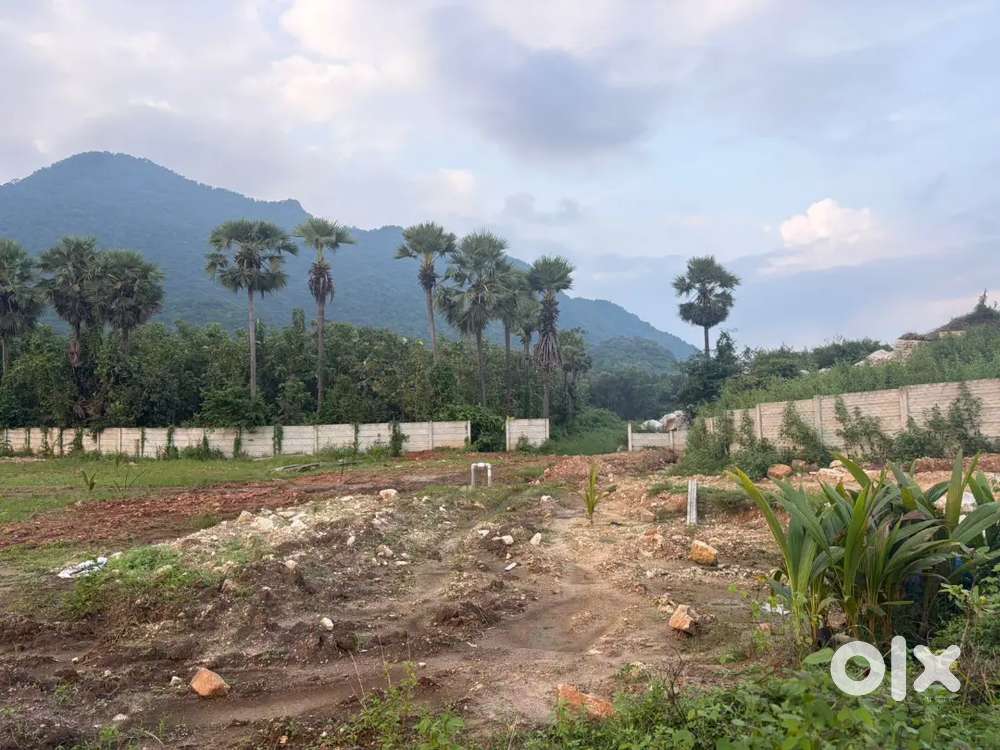 HIGH RETURNS INVEST AGAR WOOD FARMING PLOTS