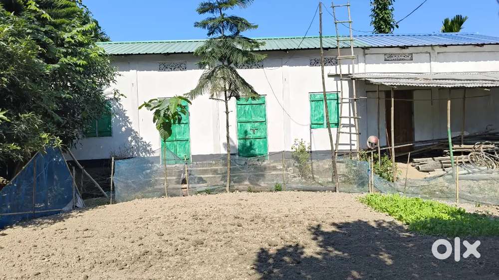 ম্যাদি পাট্টা ১বিঘা ২.৫ কঠা