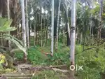 70 സെന്റ് സ്ഥലം വില്പനക്ക്. കുഞ്ഞുമോൻ പഠി സ്ഥലം.
