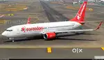 Job in indigo airlines 2025