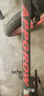 I want to sell my Appgrow fat bike