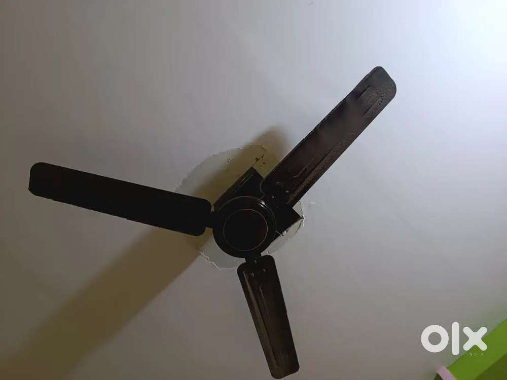 Calling fan with warenty only 800/-