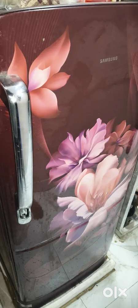 Samsung fridge  183 ltrs only two month old model tef RR20D1823P2 10K