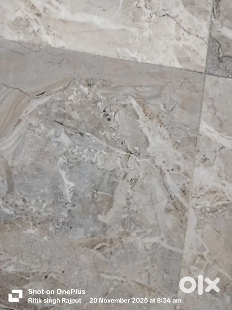 Need housekeeping boy