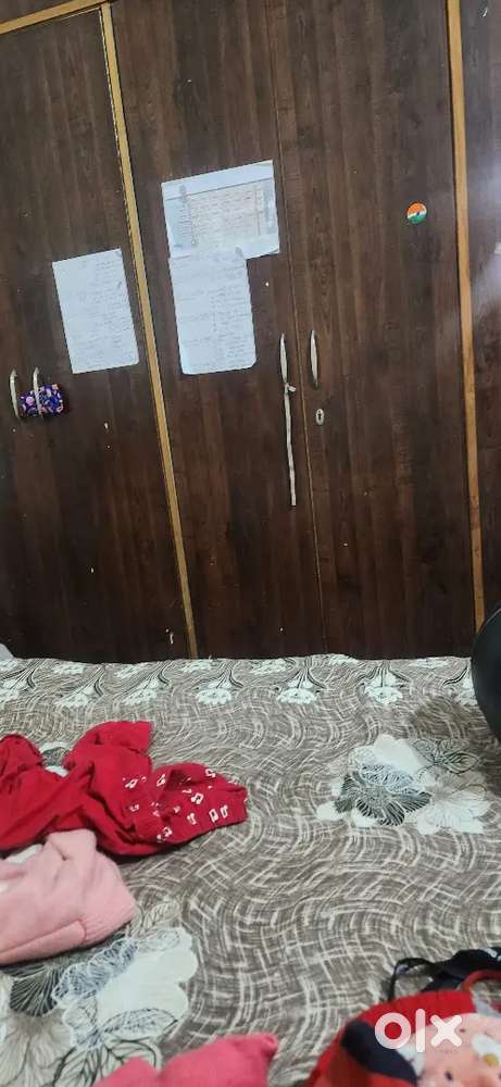 Need cook for sector 10 panchkula