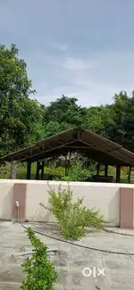 Shed for sale to cows and goats