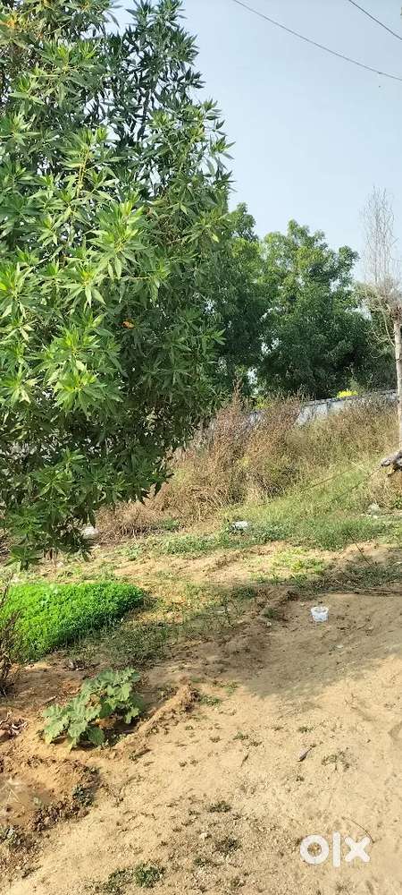 I want sell my plot 25×25 in main highway location