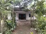 Aluva Paravur road karumaloor 12 cent old house