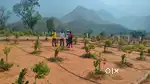 250 Sqy plot sale, monthly 10k, yearly 4 lks, after 12years 4cr return