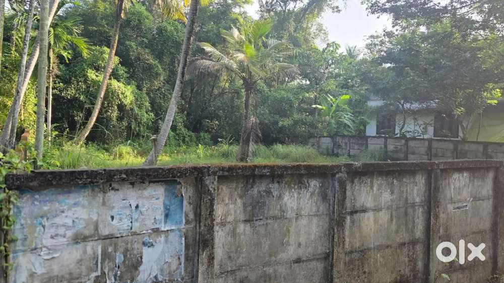 ചേർത്തല മനോരമ കവല ഒരു km ചുറ്റളവിൽ 10 സെന്റ്