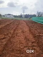 House Plot 11.3 cent , front 20 feet road.