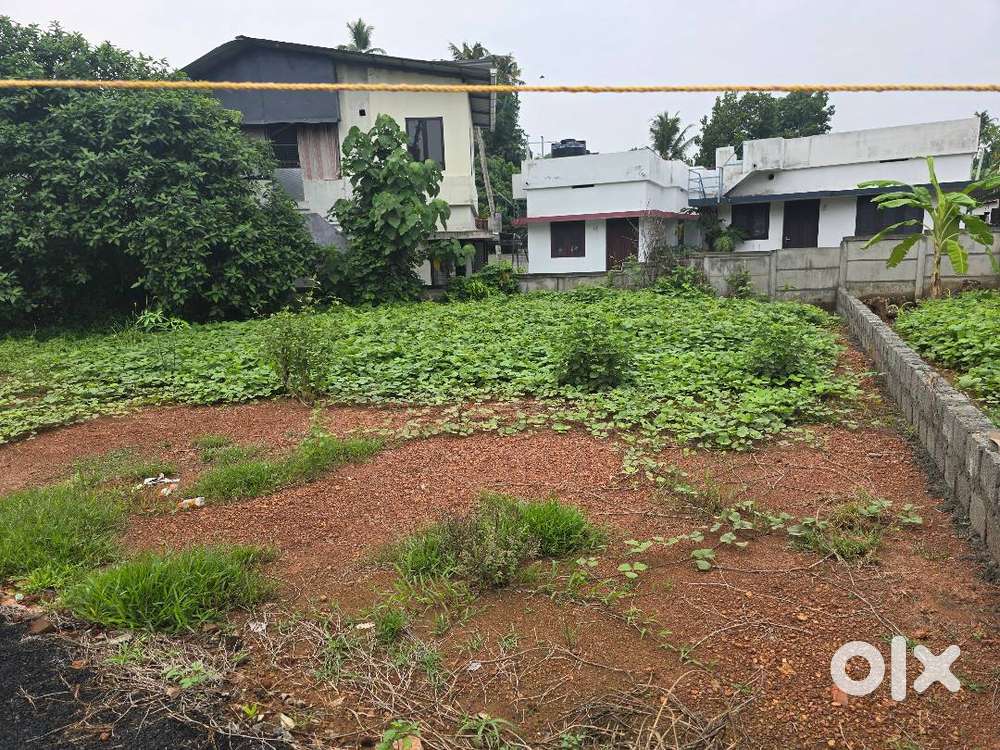 3Cent 4 Cent Residential Plot for Sale In Neericode, Near Kongorpilly