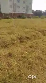 DALADALI ME RING ROAD SE 300 METER KI DURI PAR  SASTI PLOT OPLABDH HAI