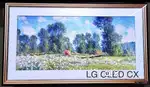 LG OLED CX (55 Inch) And LG OLED BX (55lnch)