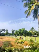 Empty Land for Rental 25 Cents