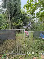 Edappally Cheranalloor signal near 13 cent land for sale