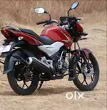 Fresh condition bike
