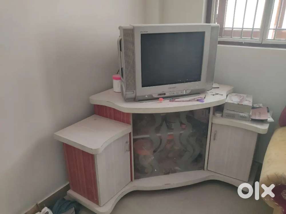 Tv unit with tv