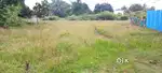 land sales