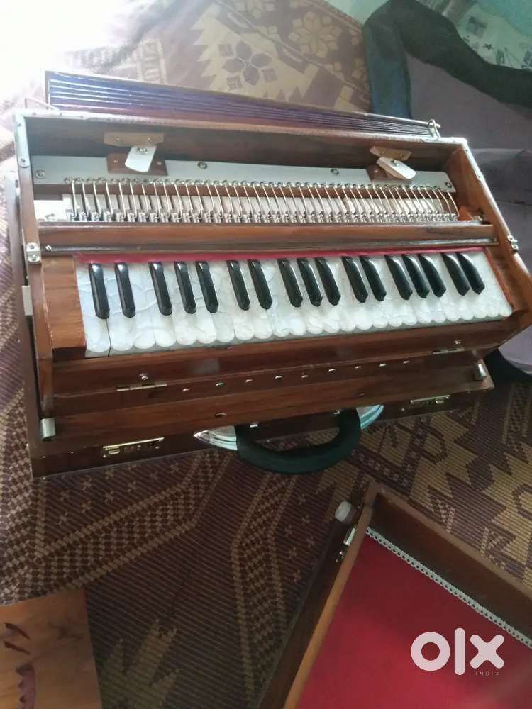 Kolkata made Harmoniam (2 Palitana reed)