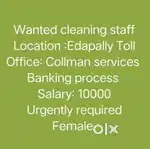 Office Cleaning Staff