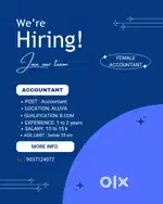 Job vaccancy for Accountant