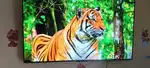 OnePlus 65 inch 4K smart  LED TV
