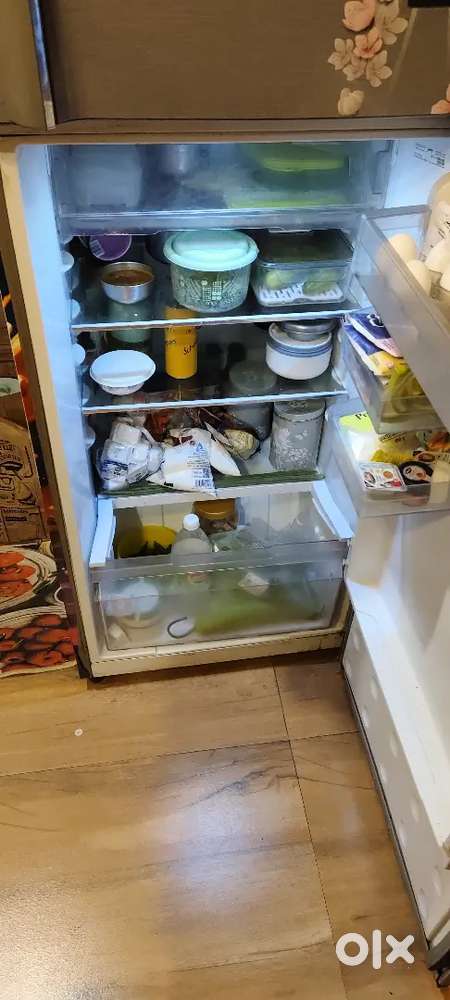 Fridge of 250 L