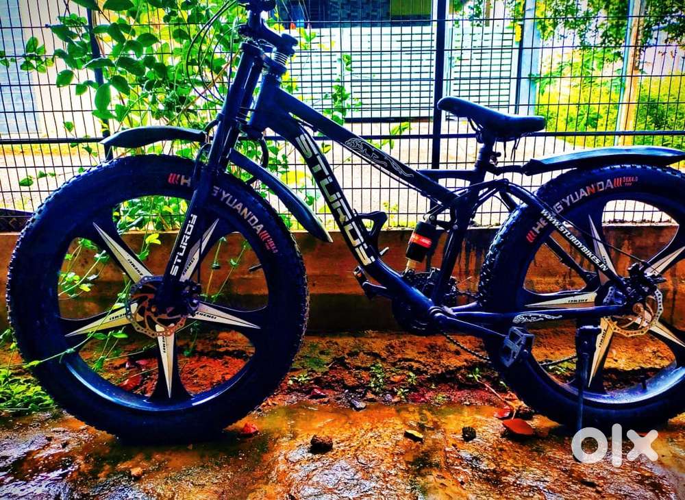 Study fat bike