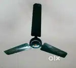 Ceiling fan