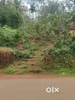 25 cent road side property for sale