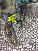 Avon sting cycle