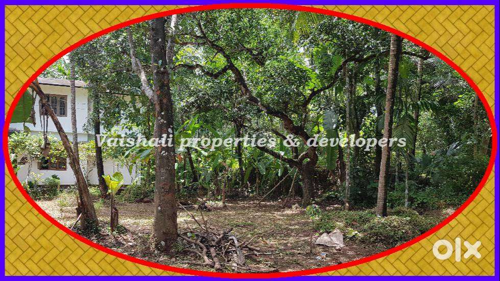 15 cents residential plot for sale in near Providence College