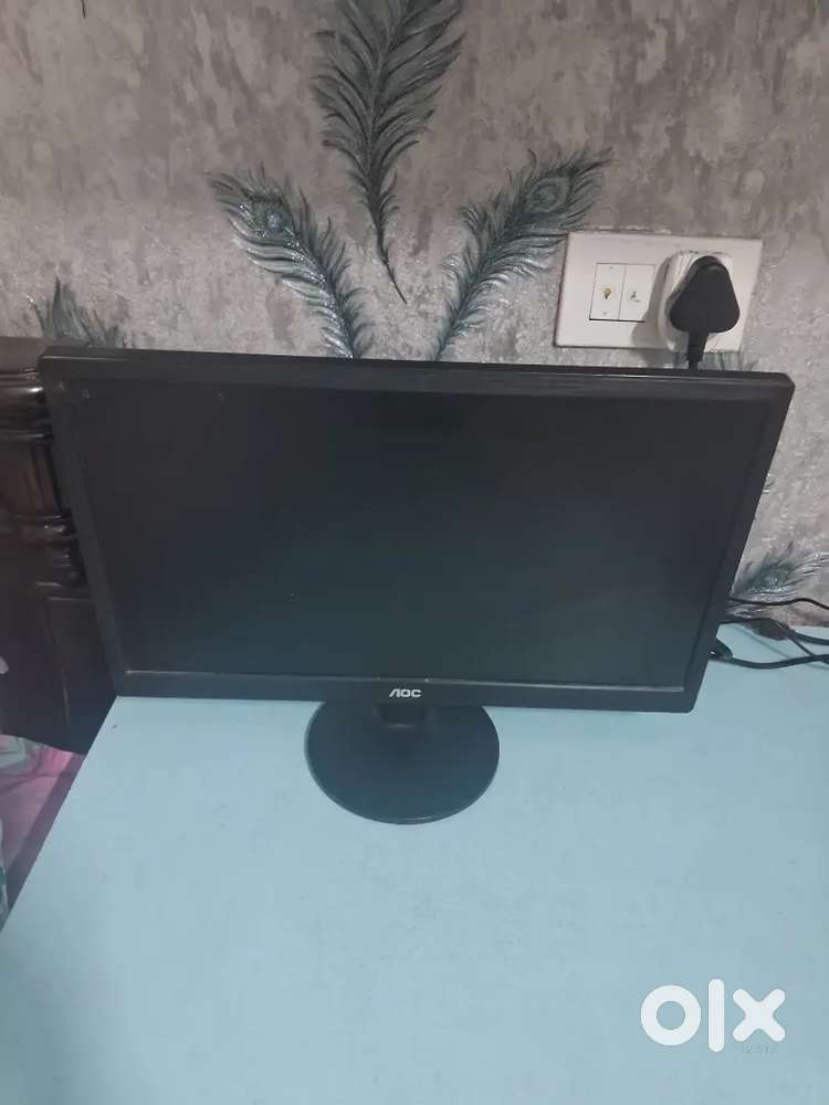 Acer moniter