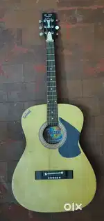 Acoustic Guitar