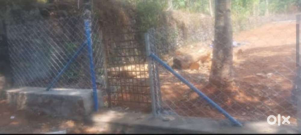 Urgent Sale – Residential Plot in Pramadam, Pathanamthitta