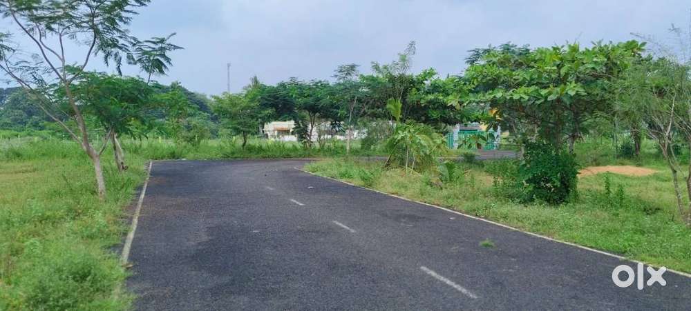 Land for sale AT PADALAM Chengalpattu