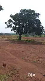 RESIDENTIAL PLOT FOR SALE, PORIEM, AREA 237, PRICE@₹4900/SQ MTR