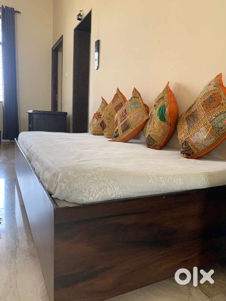Real wood - Premium Diwan