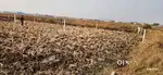 NA Plot Navi Mumbai