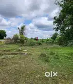 Plot for Sale – Chagalamarri Gram Panchayat
