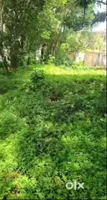 Plot on lease