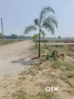 Bhubaneswar Hanspala 2 3km Distance plot Near Baliyanta Police station