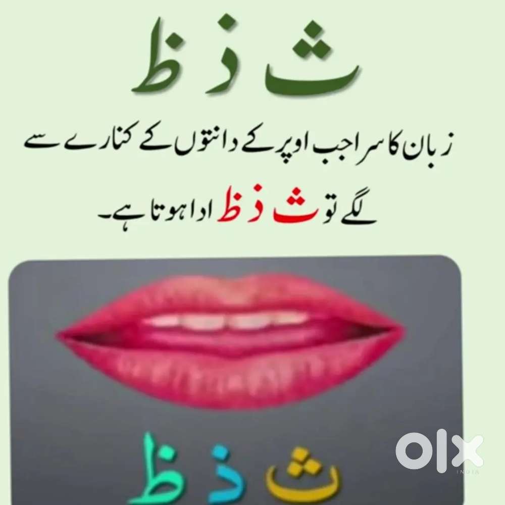 Quran Teacher