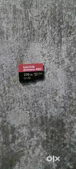 SD card 256 GB