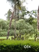 13 cent converted land for sale