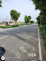 Sell for plot