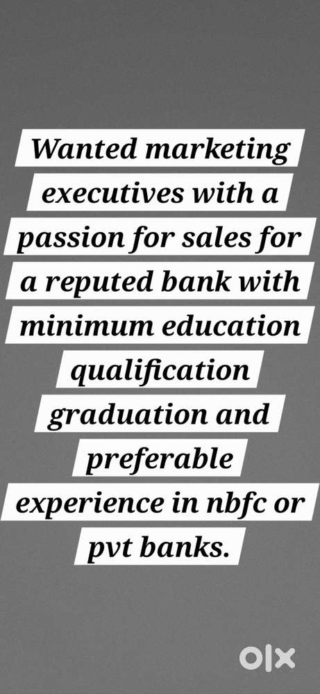 Sales Executive